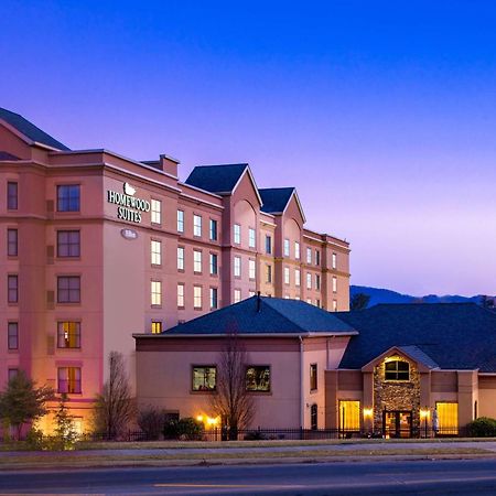 Homewood Suites By Hilton Asheville Exterior photo